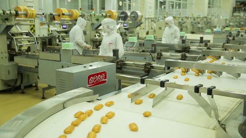 為巴黎奧運(yùn)會(huì)喝彩——盼盼之家巴黎體驗(yàn)店開幕與麥秸畫藝術(shù)盛宴