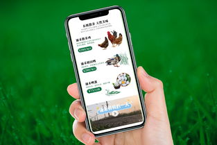 自然之涌，純凈之禾 涌禾農場全案品牌形象塑造之路